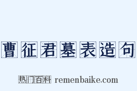 曹征君墓表造句是什么意思的图片